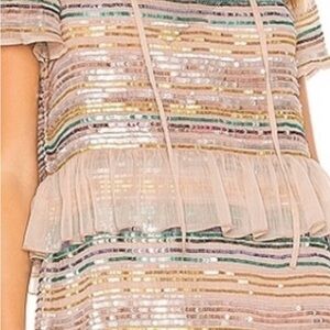 Tularosa Blush Sequin Striped Ruffle Hem Mini Dress